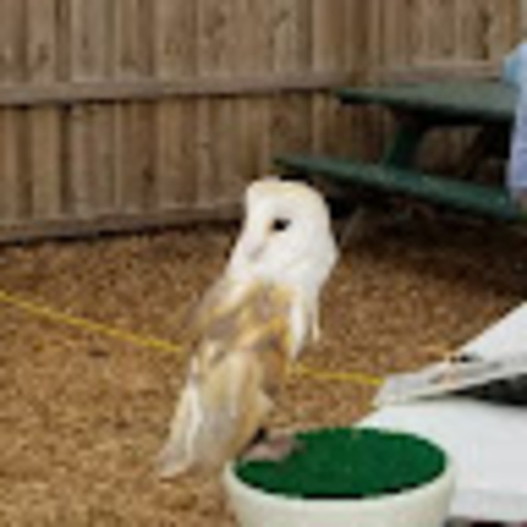 Meet your Posher, Jacquelyn - Picture 1 of 1